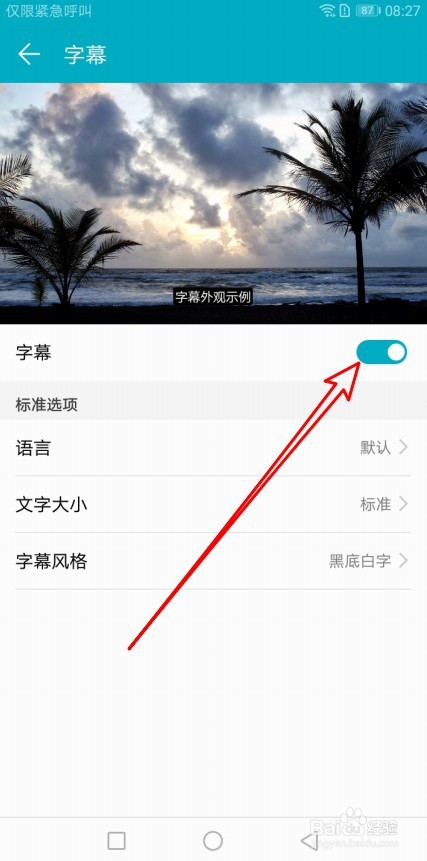 华为荣耀9X手机的字幕功能怎样打开