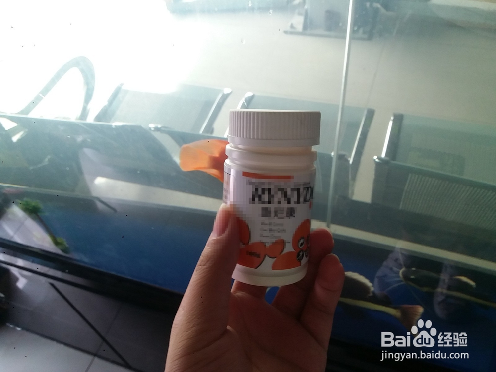 地图鱼出现白斑溃烂应该注意什么怎么治疗