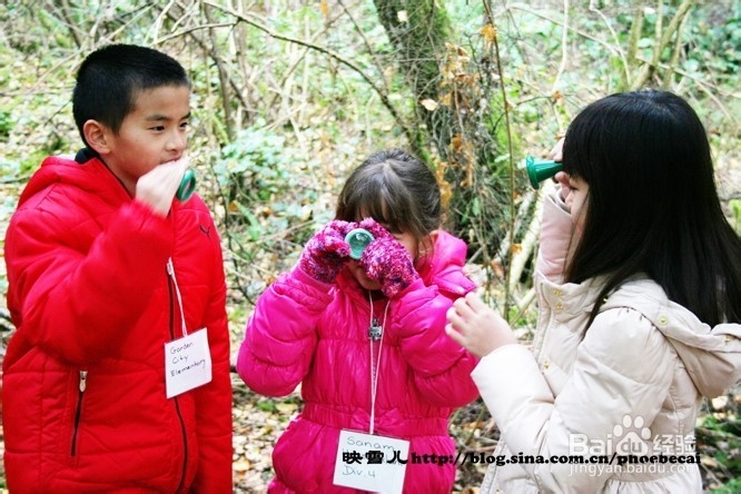 温哥华小学生郊游学什么