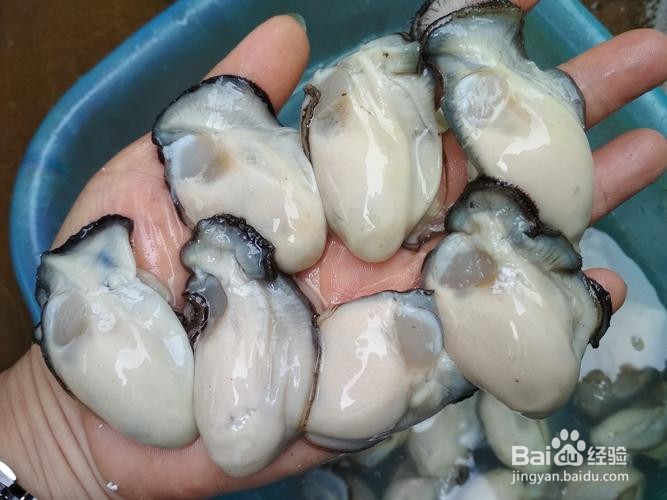 蒜蓉粉丝生蚝
