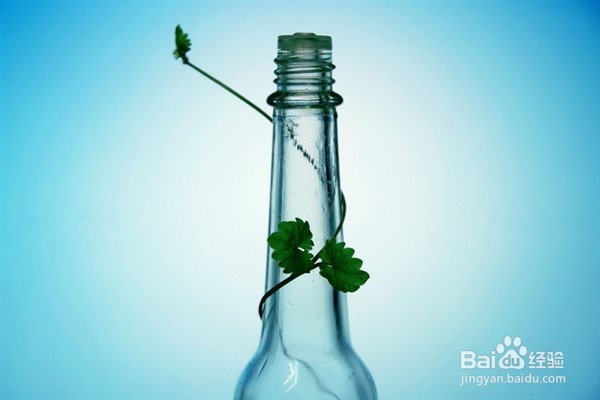 如何快速防暑降温？