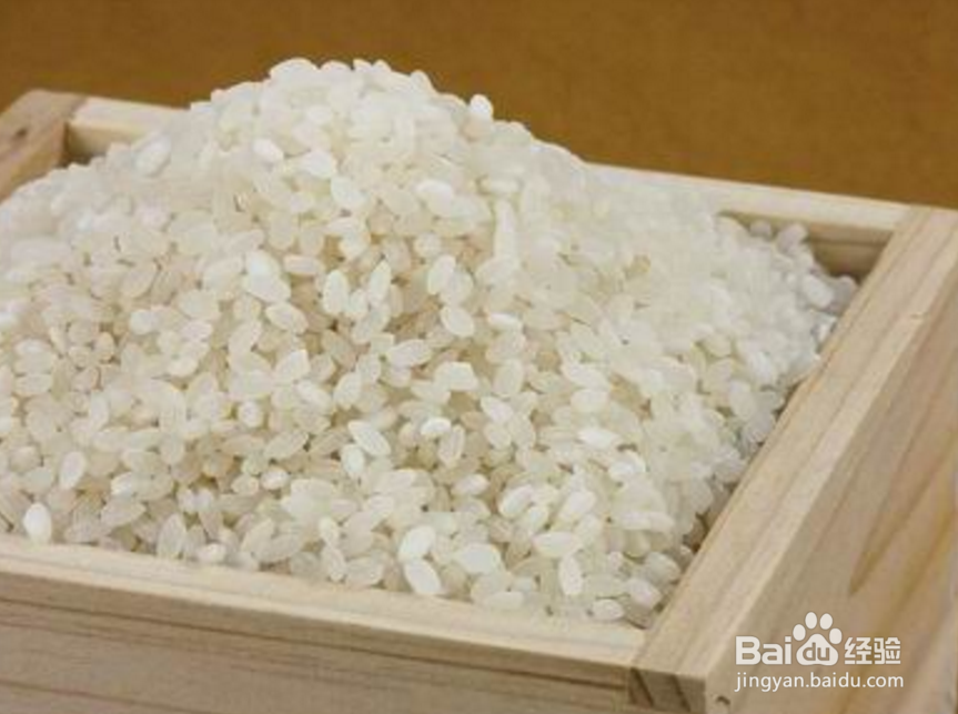 大米生蛾子怎么办