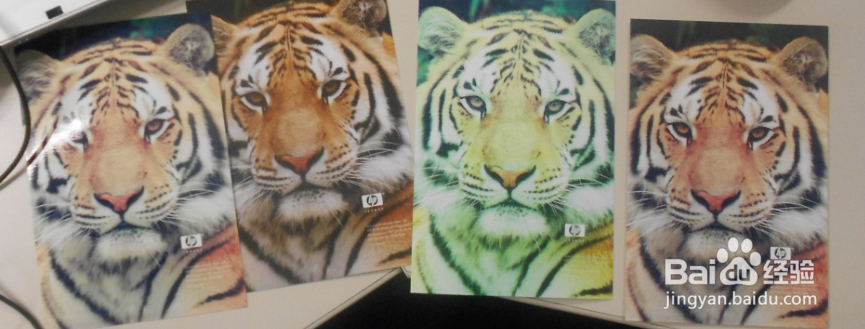 HP Smart Tank 518&519&618 打印偏色