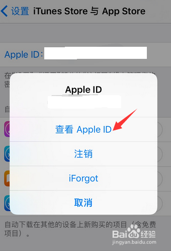 iphone8无法连接app store怎么办