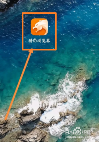 猎豹浏览器软件中怎么开启夜间模式