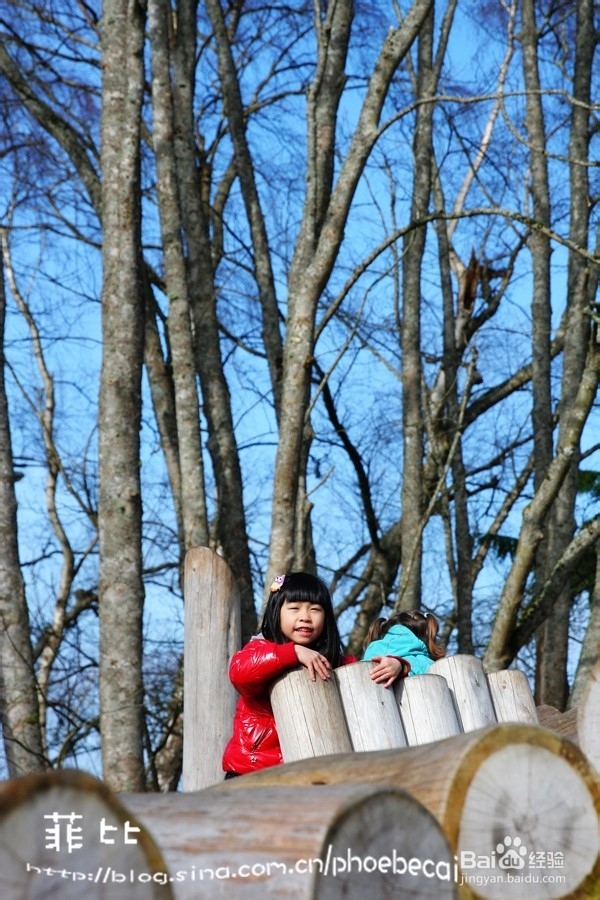 温哥华百万木头公园