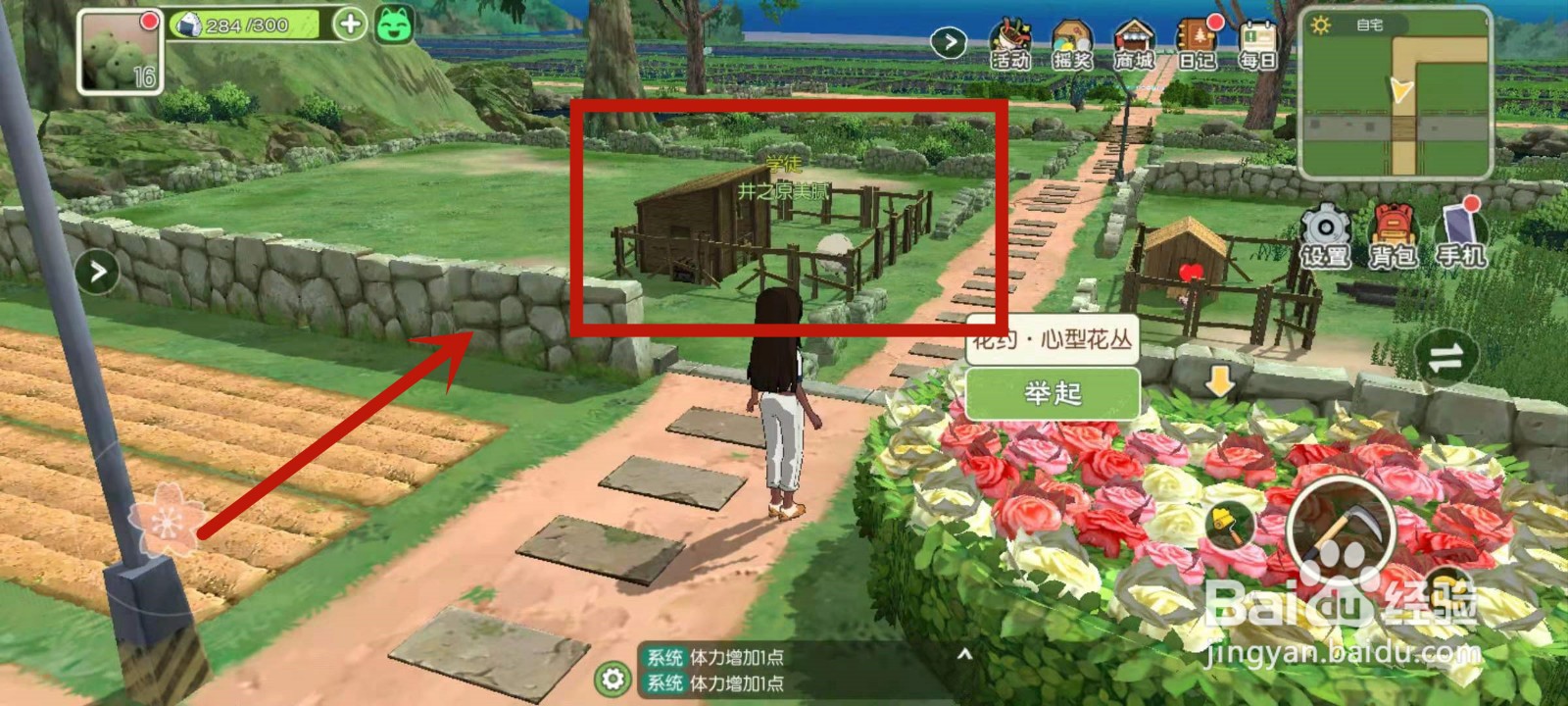 如何清除小森生活大型牧棚附近的杂草