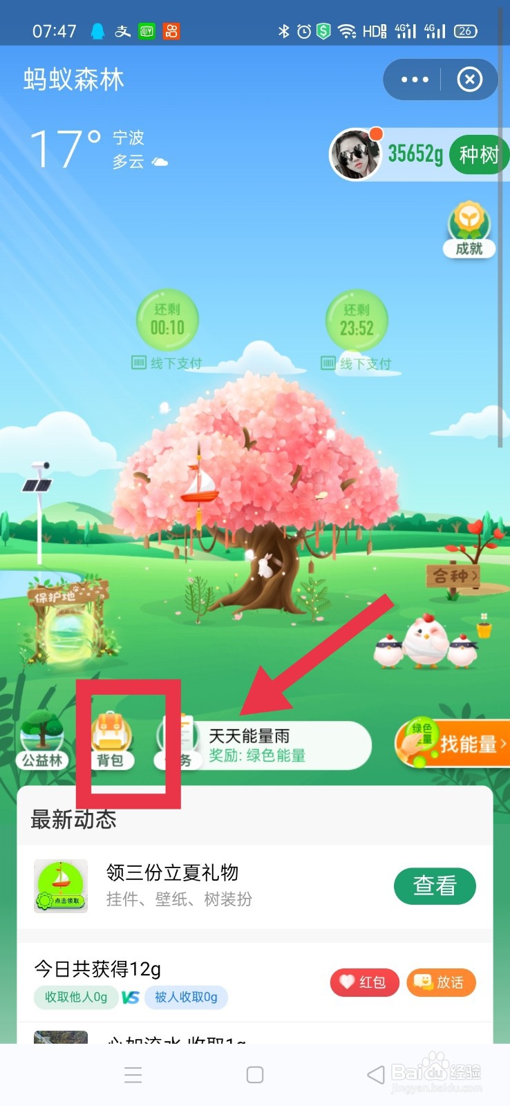 蚂蚁森林如何取消千年山桃树装扮?