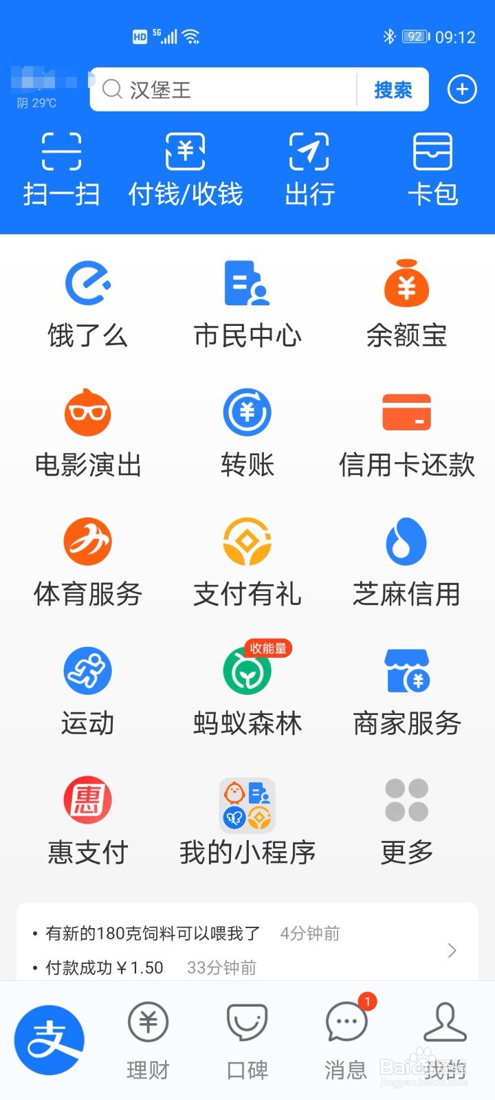 支付宝打开页面图片图片