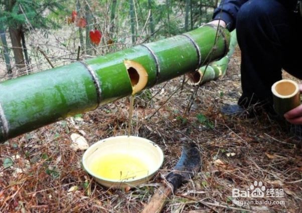 竹筒酒是怎么做的?