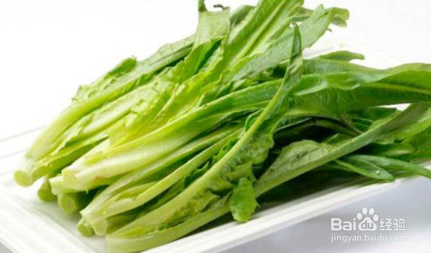 春季种植什么蔬菜大全