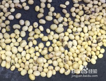 黄豆焖鸭肉的做法