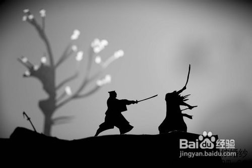 【摄影】纸制“家酿”剪影大片