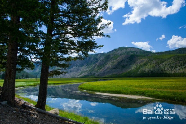 美国黄石公园自驾游需要注意哪些东西?