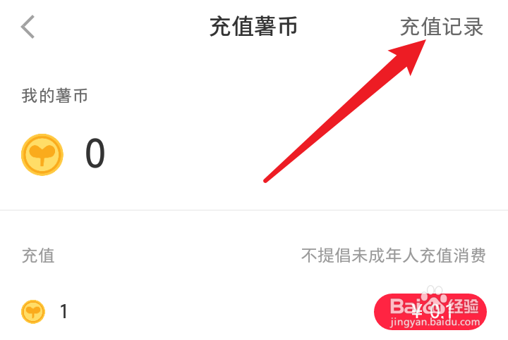 小红书怎么查询充值记录