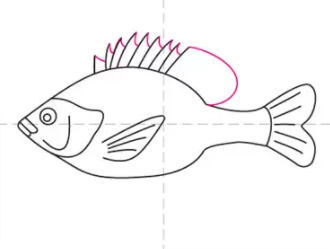 一条鱼的画法图片