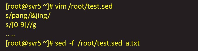 sed基本用法详解