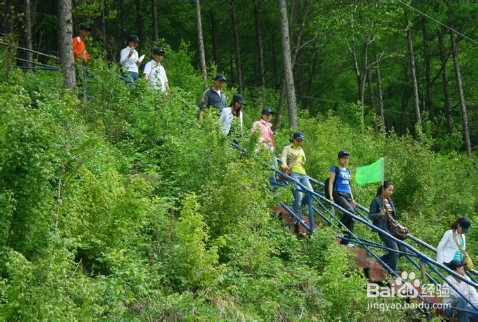 晚上失眠该怎么办？