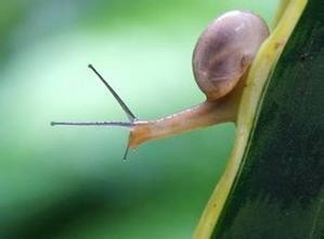 怎样做到每天坚持做好一件事？