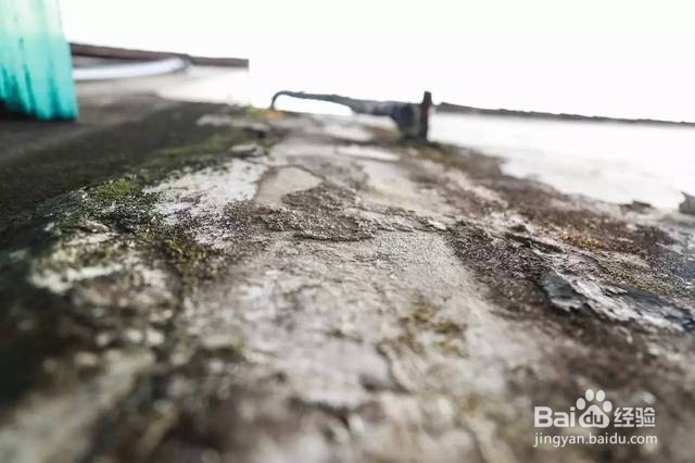 水泥地长青苔有什么办法去掉