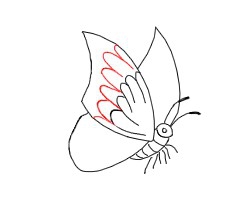 简笔画---怎么画只活生生的蝴蝶