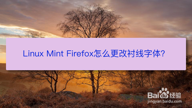 <b>Linux Mint Firefox怎么更改衬线字体</b>
