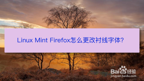 Linux Mint Firefox怎么更改衬线字体？