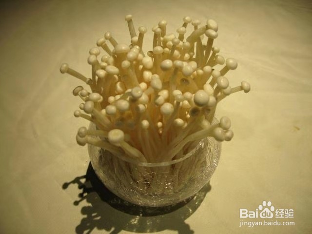 金针菇的根系不要扔,又能获得新鲜的金针菇!