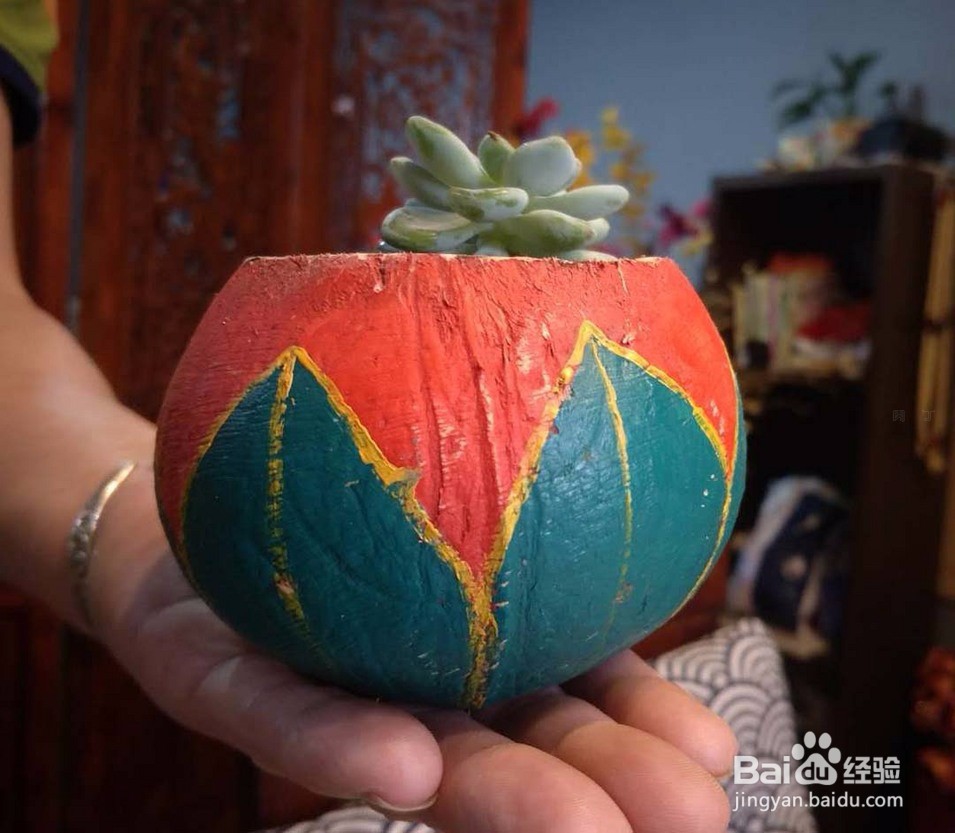 手绘椰壳小盆栽,多肉花盆的做法步骤