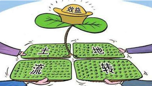 农村种粮大户承包地最低多少亩有补贴