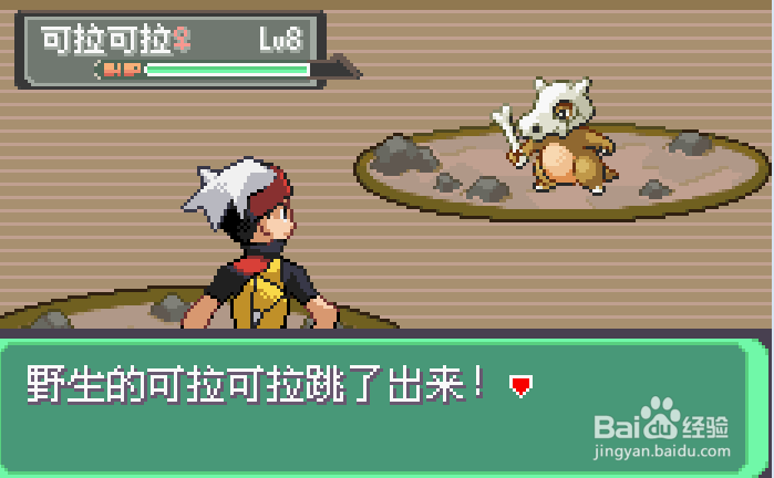 口袋漆黑的魅影:可拉可拉在哪里抓?