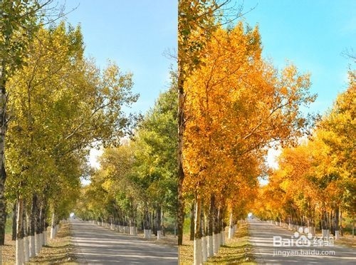 游戏控必备机型——中兴青漾2