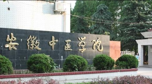 安徽中医药大学中外合作只有和韩国合作吗?上了不出国可以吗