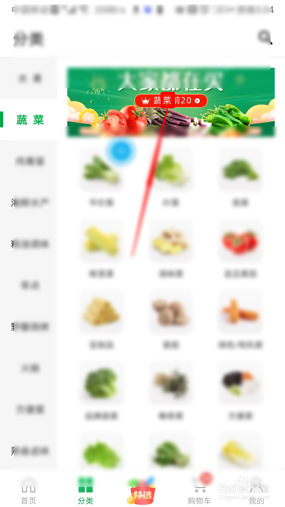 朴朴如何购买苗菜