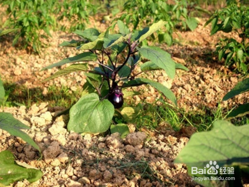 长沙市近郊农家乐