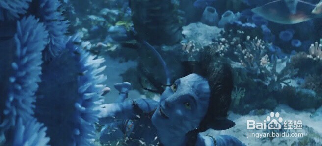 《阿凡达2》的纳美人，为何能与潘多拉的海洋生物建立联系？