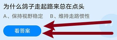 为什么鸽子走起路来总在点头？