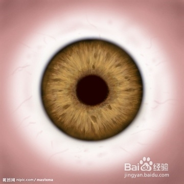 怎样不吃药治好假性近视?