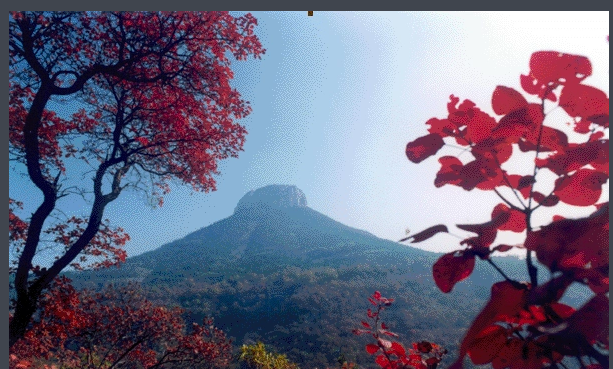 景区客流量的数据怎么查