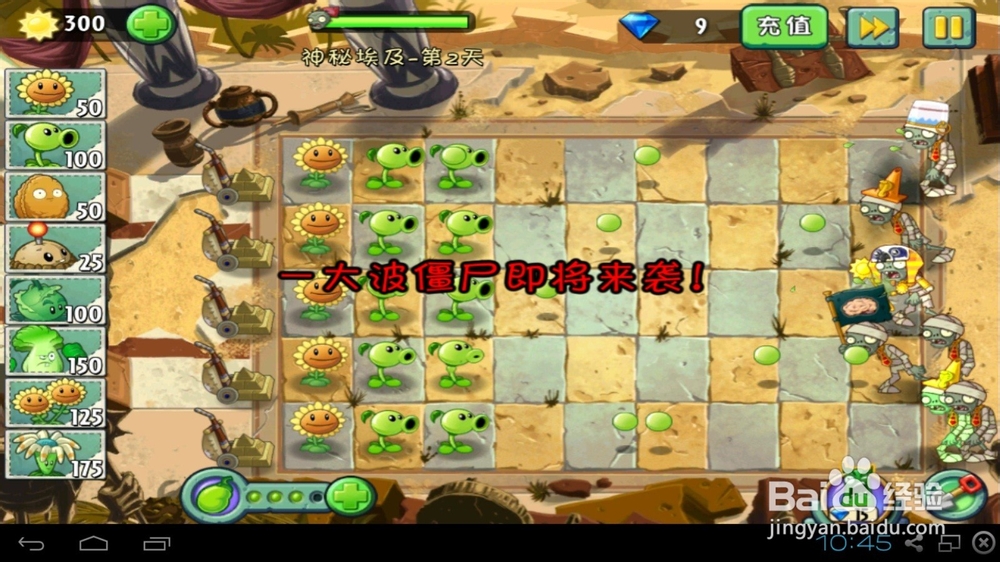 植物大战僵尸2神秘埃及攻略：[2]第二天