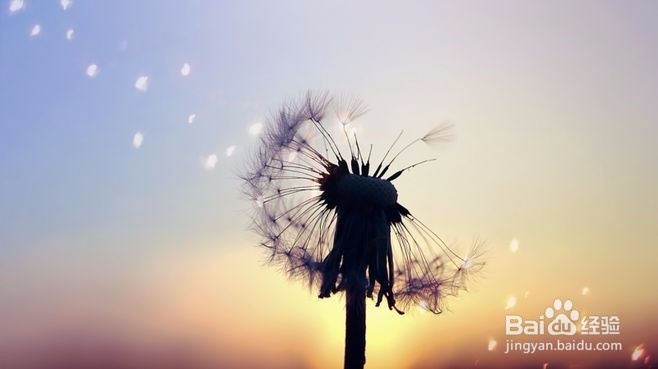 12星座攀龙附凤指数,你们会因为钱而结婚