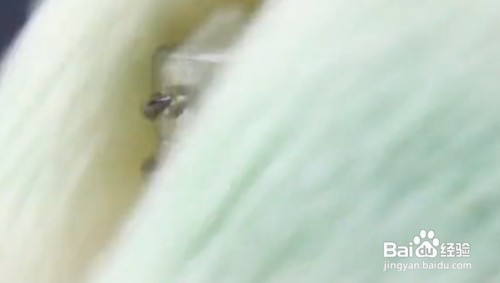 如何快速打开罐头