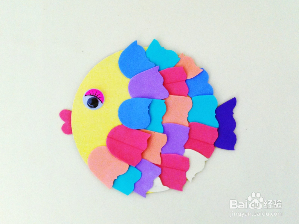 光盘制作 可爱的接吻鱼