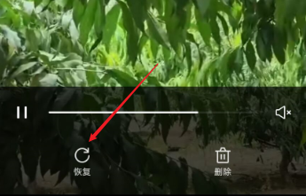 vivo视频永久删除怎么复原