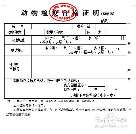 上海宠物托运宠物空运的流程