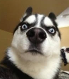 如何学会控制自己的情绪防止暴走