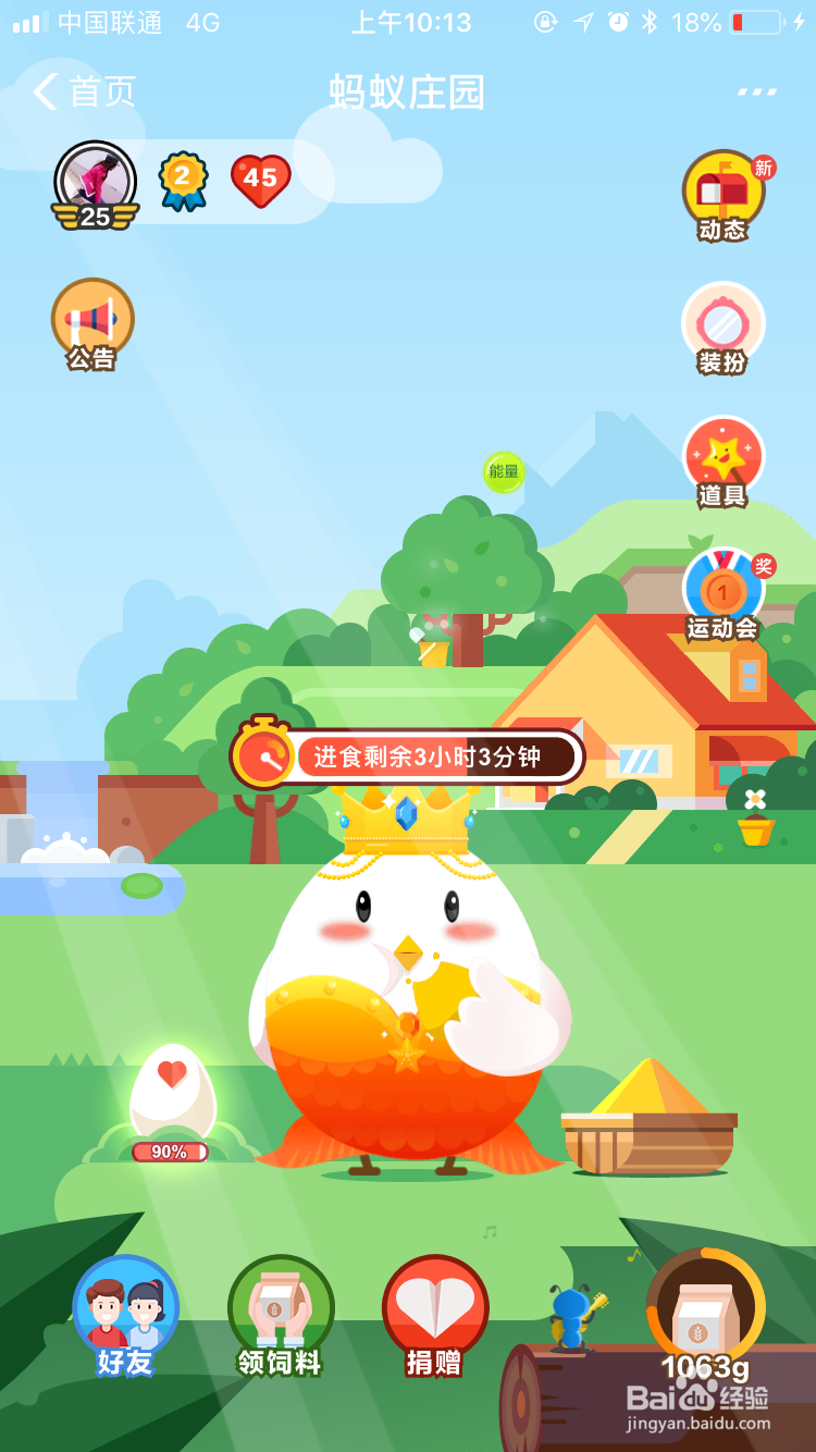 支付宝里蚂蚁庄园里怎么养小鸡