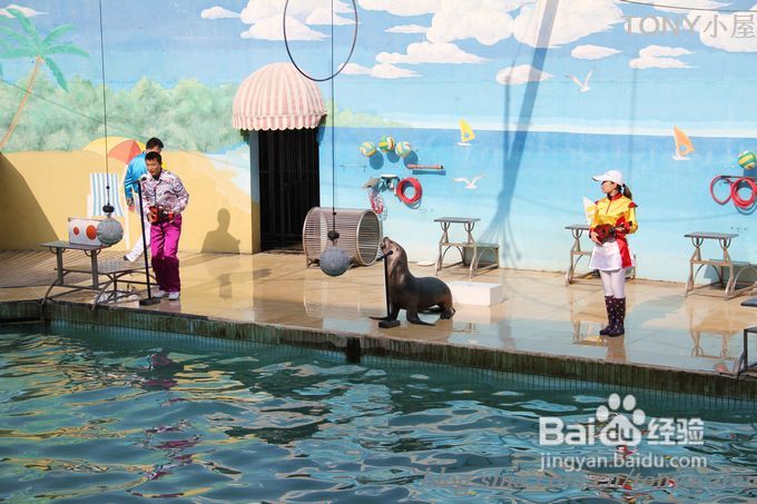 新手做土司必须要了解的5个要点---旅游外出给我们补充体力的芝麻黄油土司