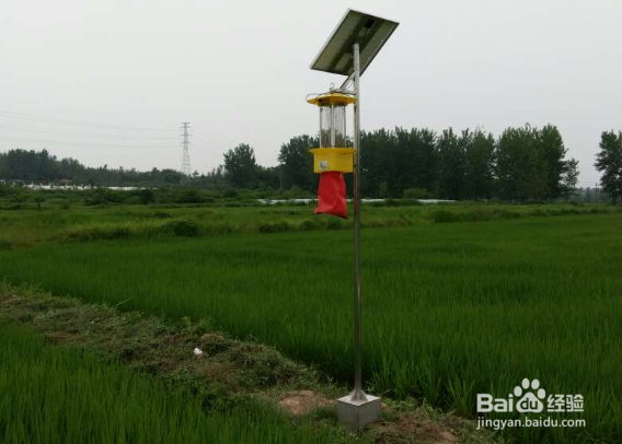 频振式杀虫灯在农业种植中可以得到普及吗?