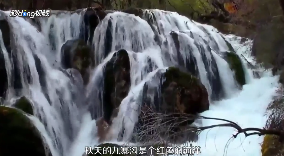 秋天有哪些地方可以看红叶